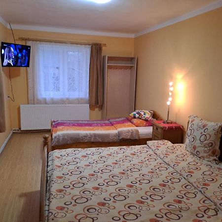 Villa Casa Argentina Cîrţişoara Exterior foto