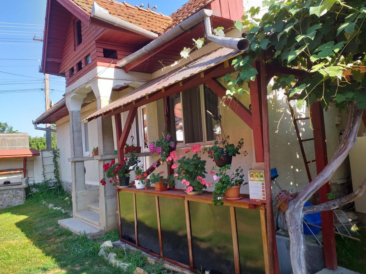 Villa Casa Argentina Cîrţişoara Exterior foto
