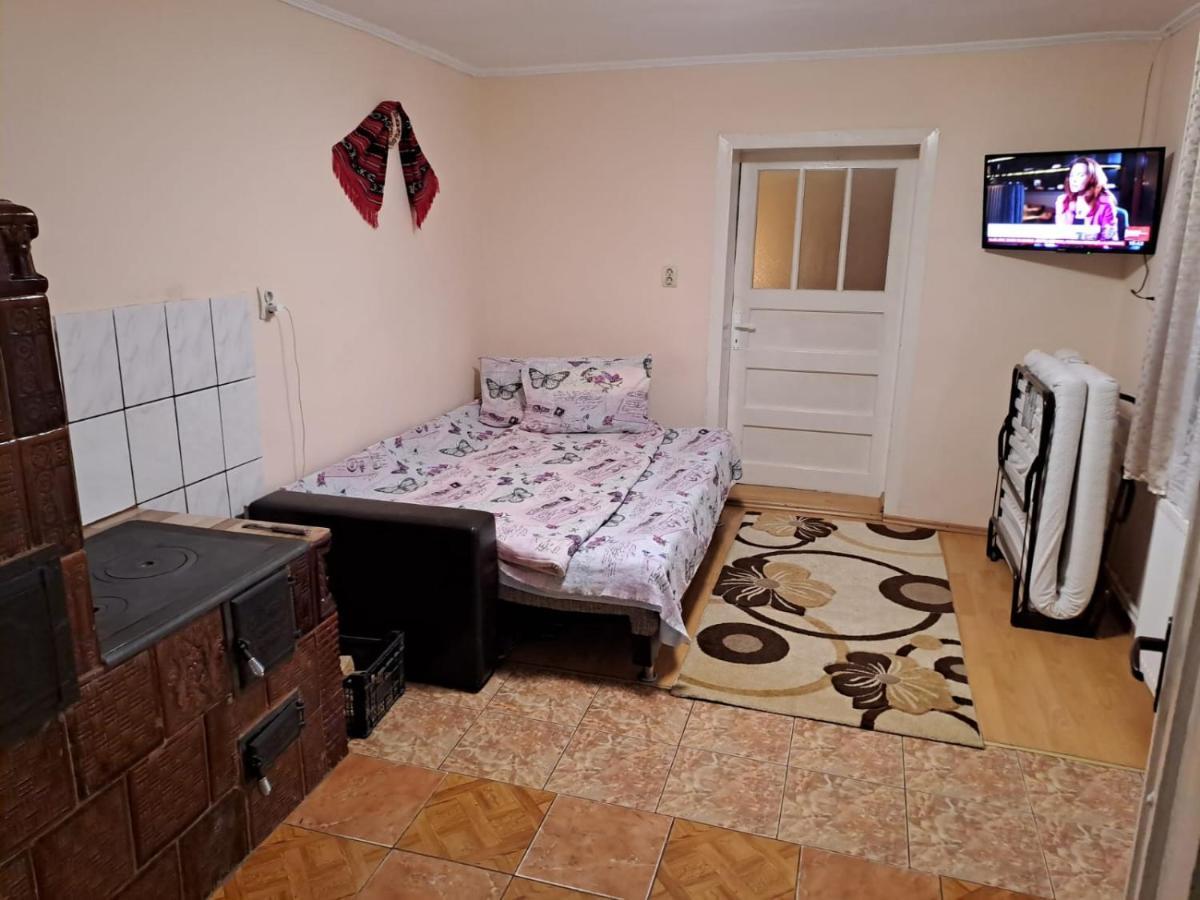 Villa Casa Argentina Cîrţişoara Exterior foto
