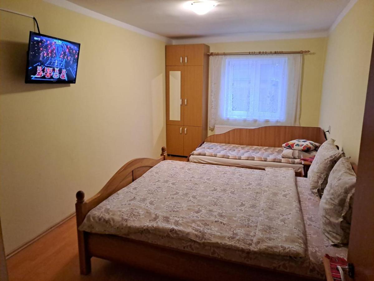 Villa Casa Argentina Cîrţişoara Exterior foto